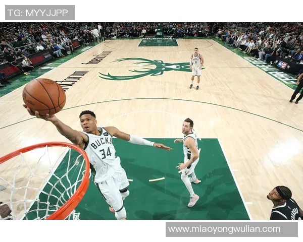 深圳排球队速度之争引发热议球迷与专家观点交锋